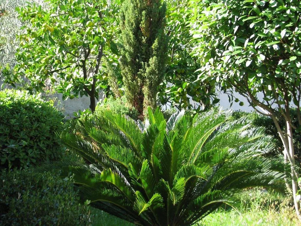 Apartments Bareta Trogir